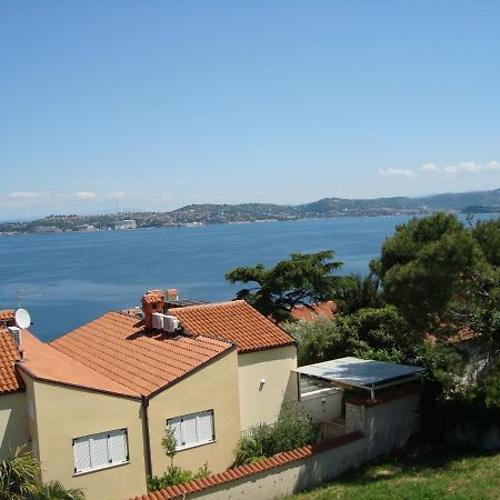 Apartman Carmen Crveni Vrh Kültér fotó